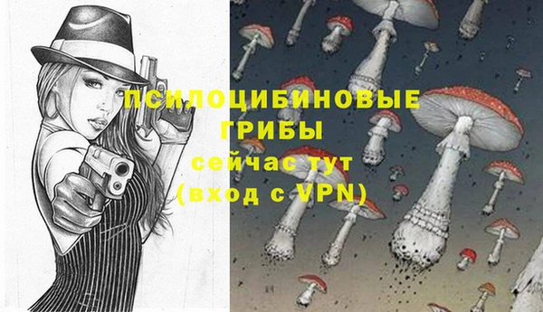прущие грибы Алзамай