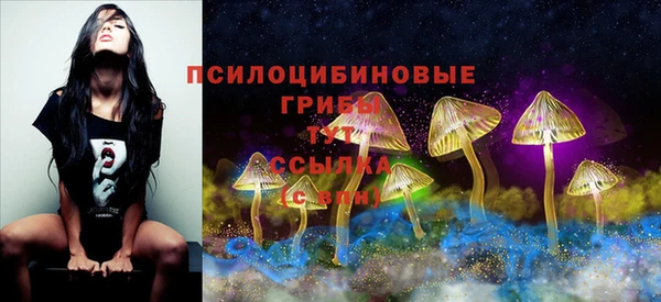 jwh Арсеньев