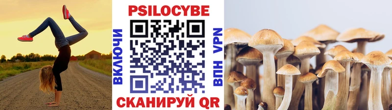 купить наркоту  Артёмовский  это состав  Галлюциногенные грибы GOLDEN TEACHER 